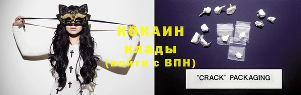 стаф Ростов